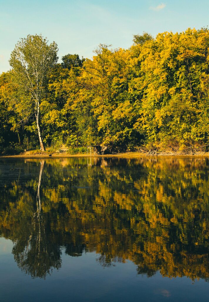 Beautiful reflection of autumn foliage on a calm lake, capturing a serene natural scene.
